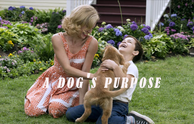 A Dog's Purpose