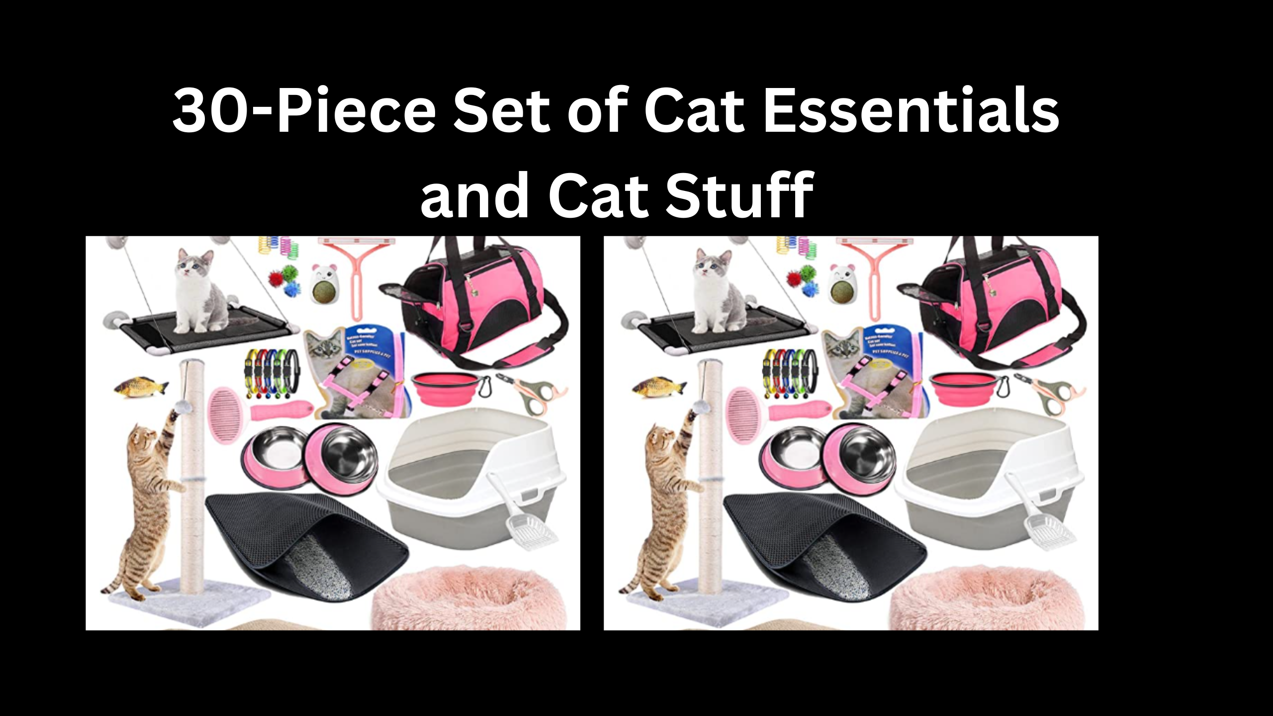 Lobeve Kitten Supplies Starter Kit 30 Piece Set of Cat Essentials and Cat Stuff
