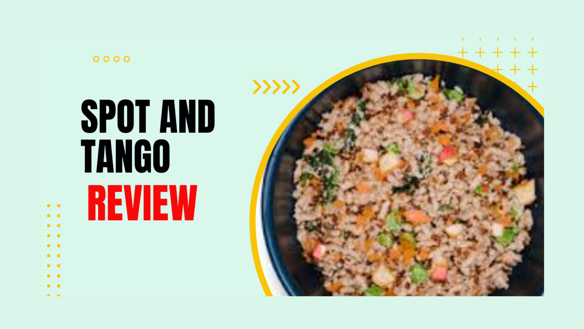 Spot and Tango Dog Food Review 2024