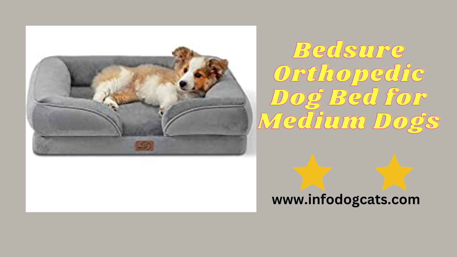 Why Investing in a Good Quality Dog Bed is Important for Your Furry Friend