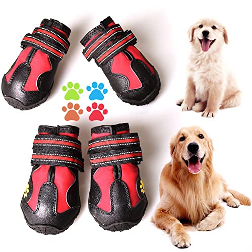 Dog Boots for Active Dogs