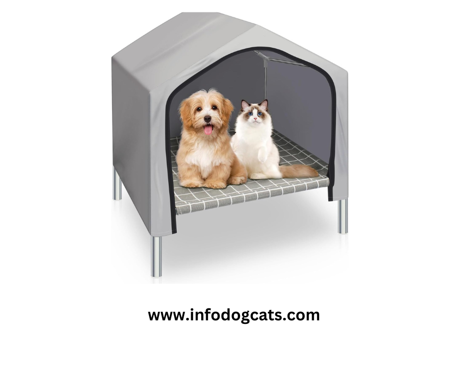 Top 5 Indoor Cat Houses Elevate Your Feline's Comfort and Joy