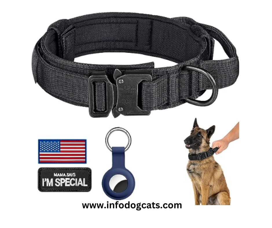 Top 5 DAGANXI Tactical Dog Collar Reviews