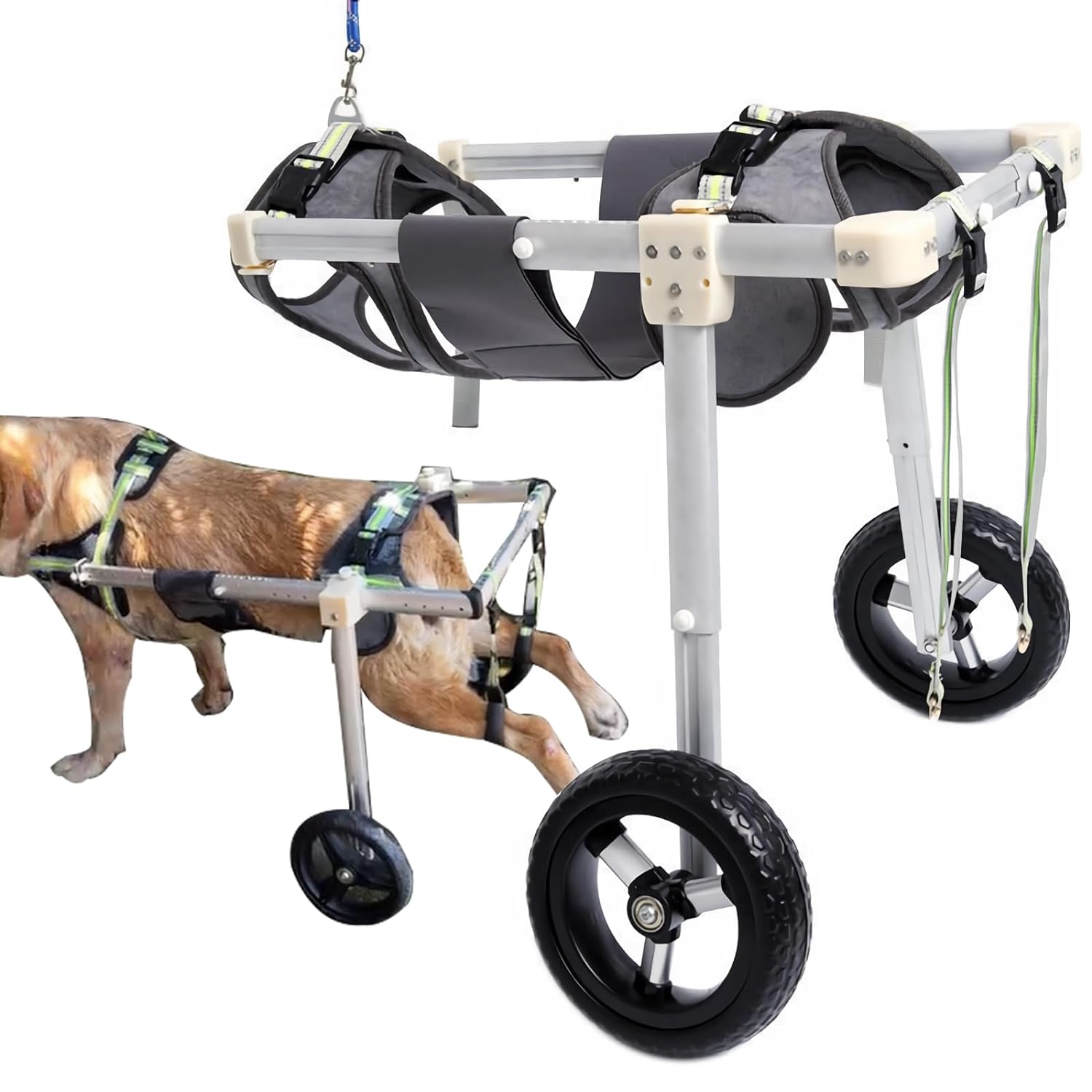 Revolutionizing Mobility: Dog Wheelchair for Back Legs – A Game-Changer for Disabled Canine Companions