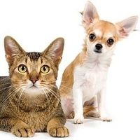Pet Supplies Plus - Walkies: Your One-Stop Shop for All Pet Needs