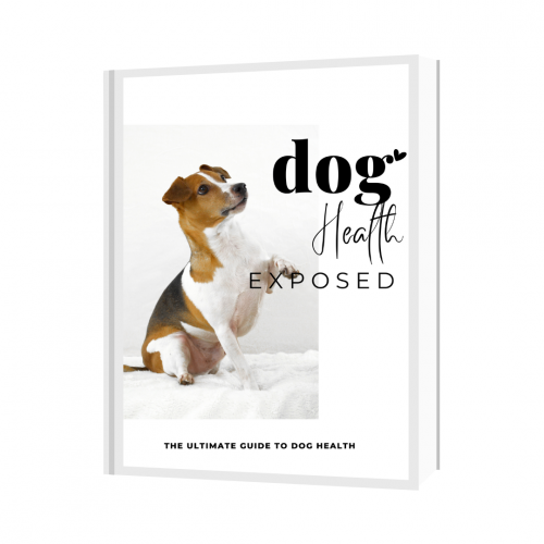 Perfect guide for imperfect dog owners!