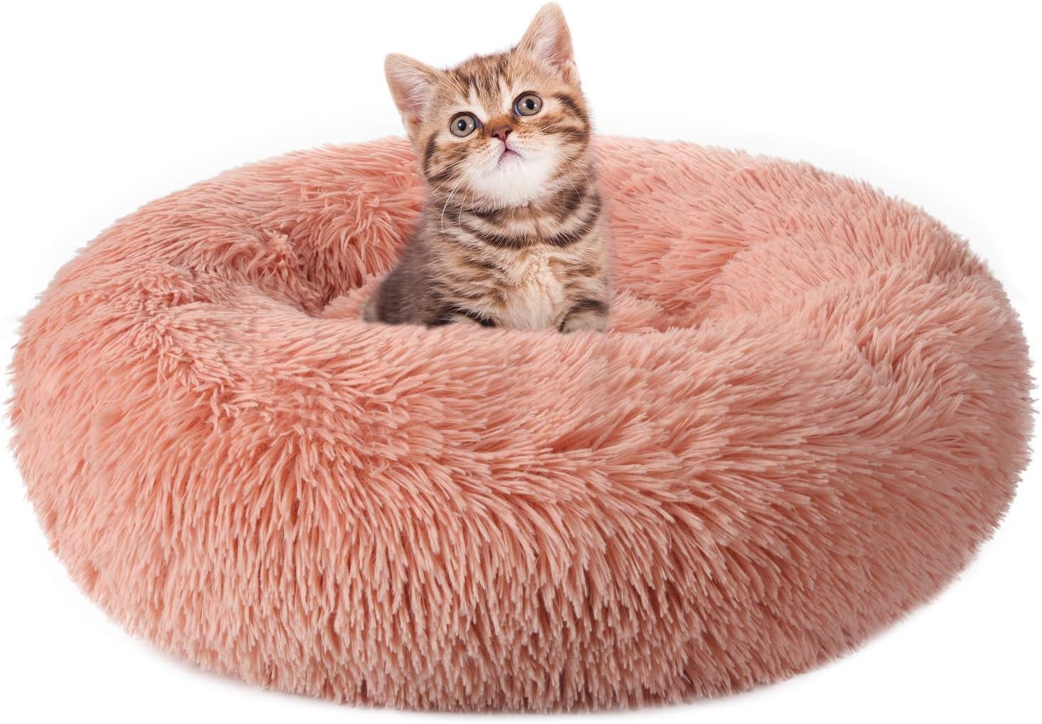 The Ultimate Cat Bed: Comfort and Entertainment in One!