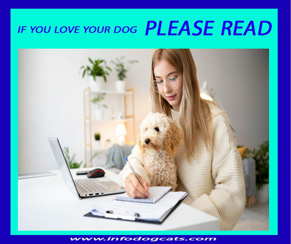 IF YOU LOVE YOUR DOG....PLEASE READ...