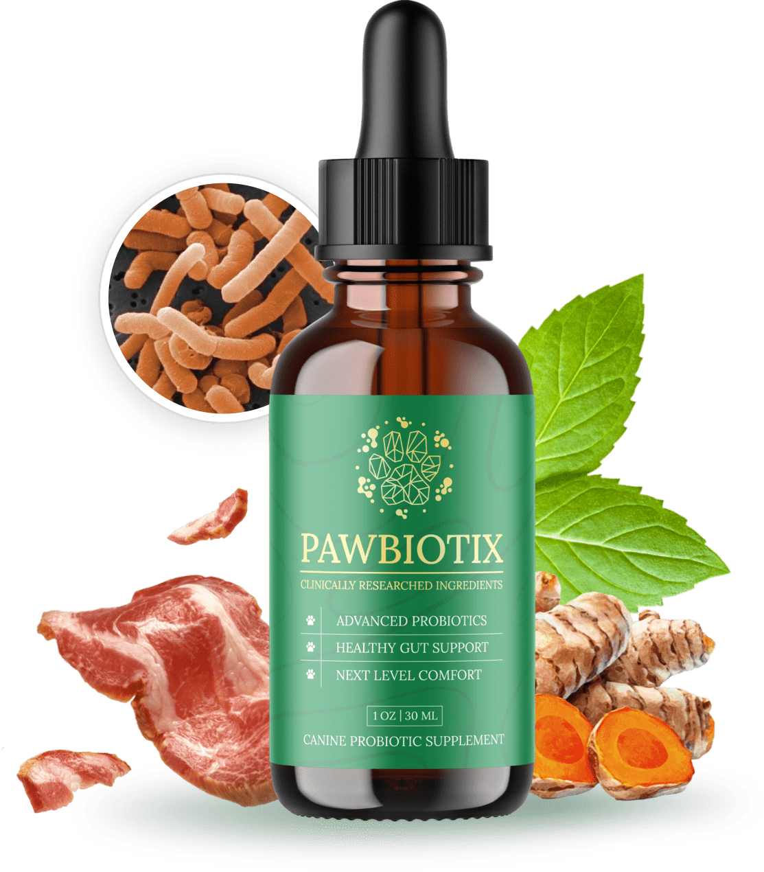 Pawbiotix Reviews: Unveiling the Power of Canine Gut Health