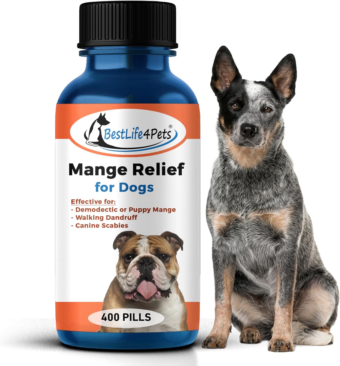 BestLife4Pets Demodectic Mange Relief for Dogs: A Comprehensive Guide to All-Natural Healing