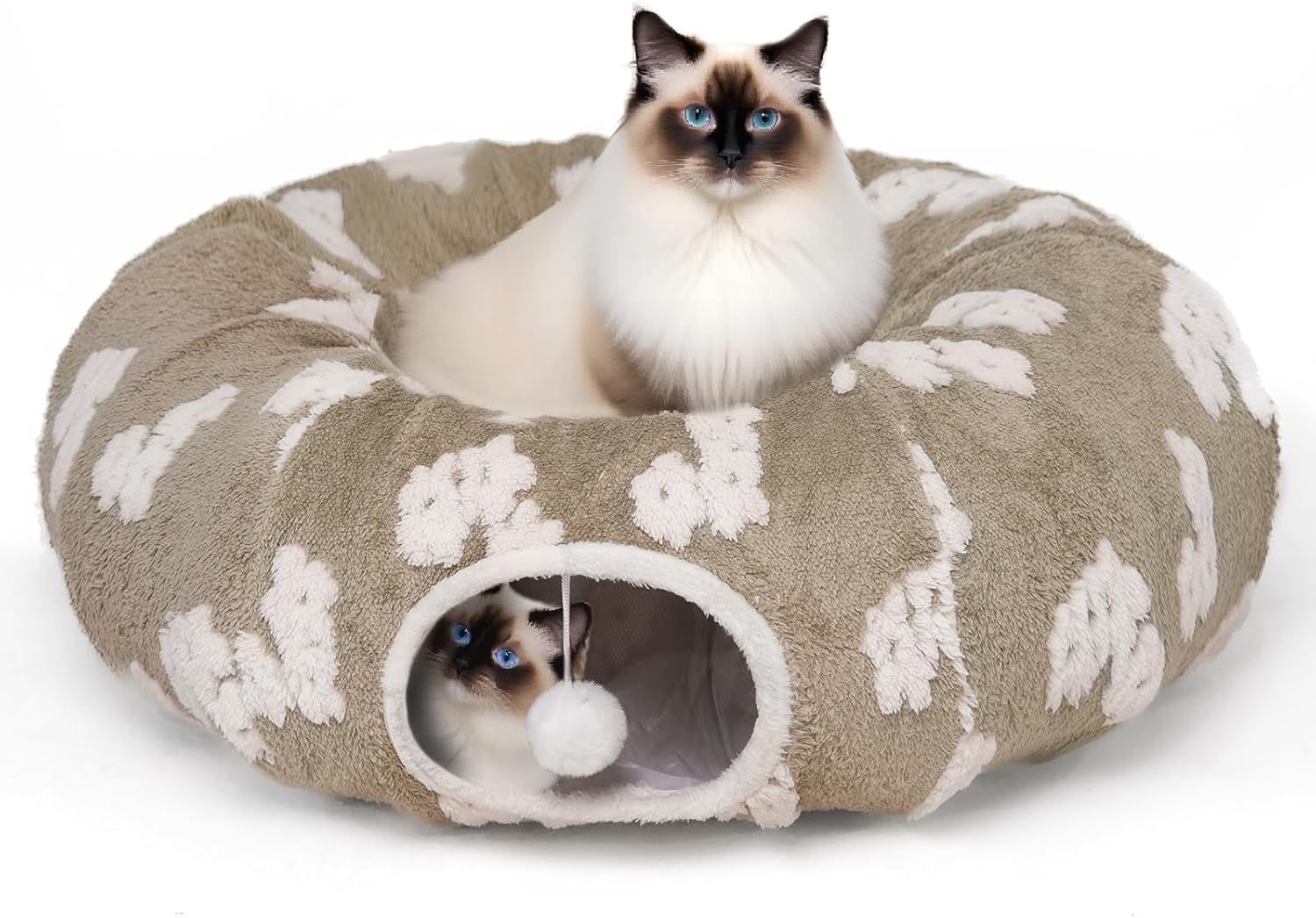 Cats Bonding With Their Owners Everything You Need to Know 2026