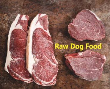 the Power of Raw Dog Food: A Comprehensive Guide to Canine Nutrition 2024