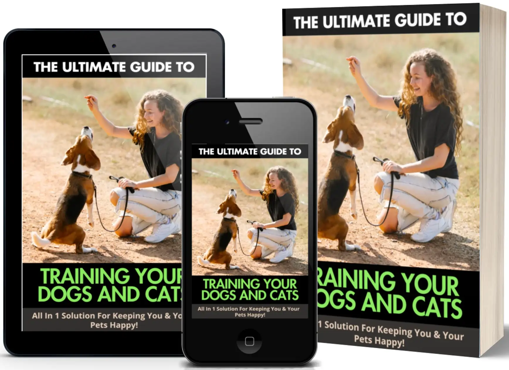 The best GUIDE on how to train your Dogs and Cats 2024