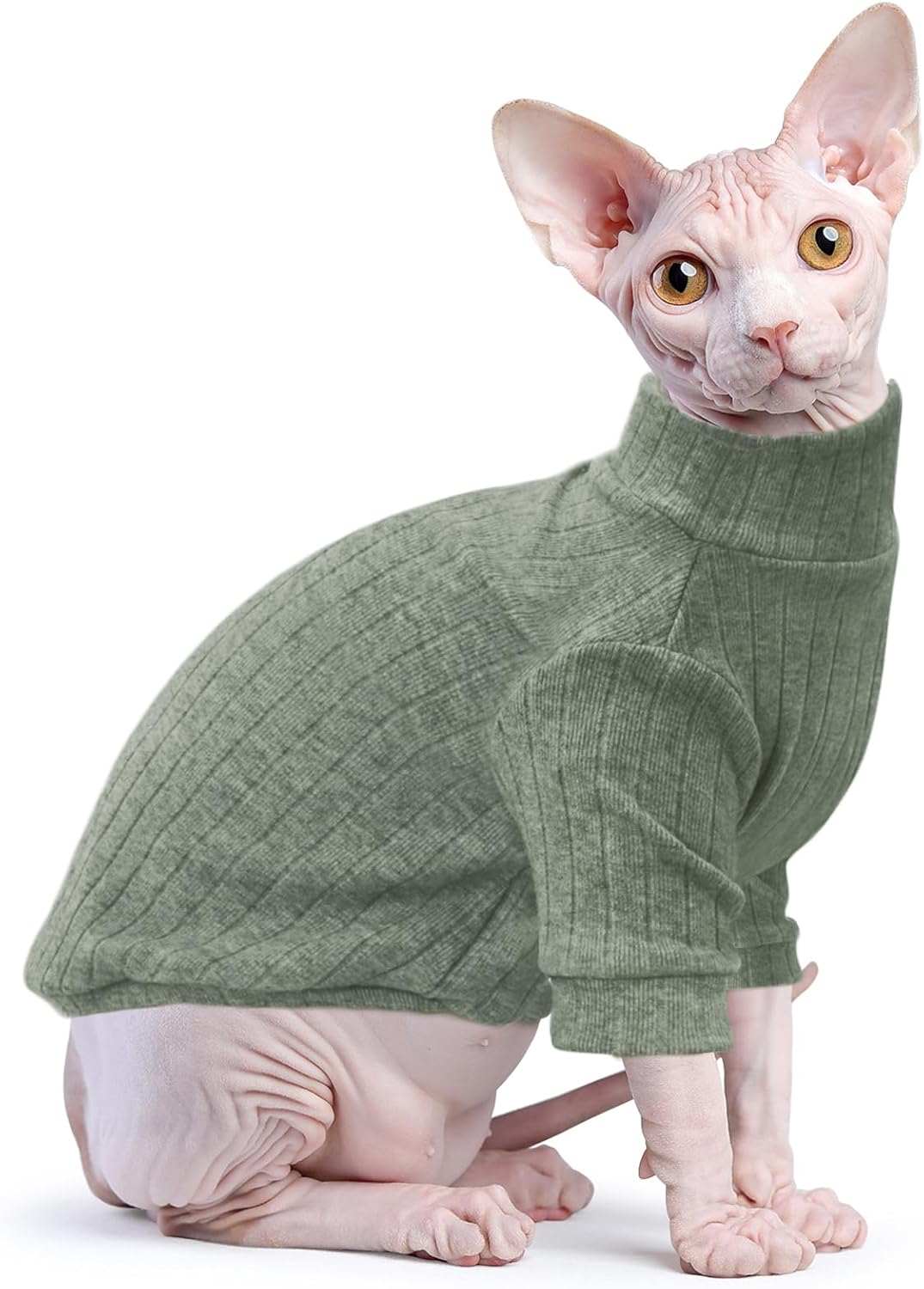 5 Must-Know Facts About Hairless Cat Clothes