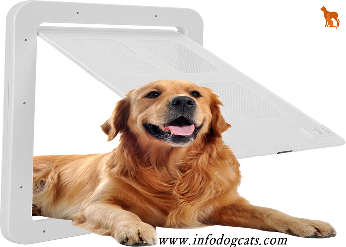 Screen Door with Dog Door 2024