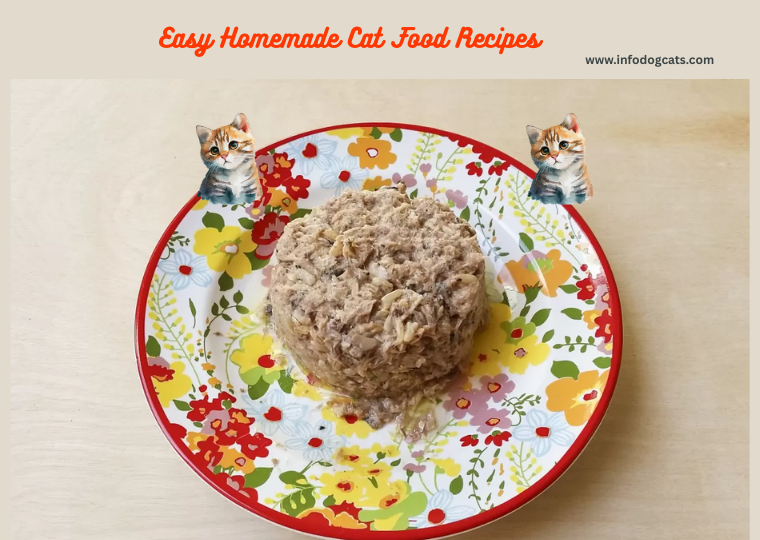 Easy Homemade Cat Food Recipes | Australia Guide 2025