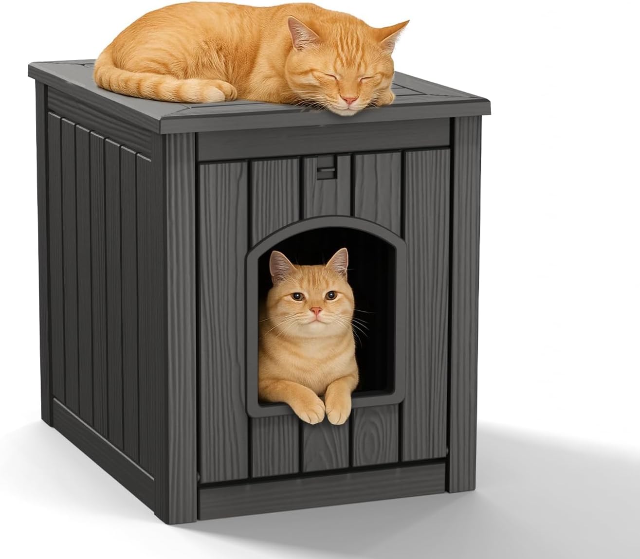 Outdoor Cat House Amazon: Best Shelters for Your Cat in 2025