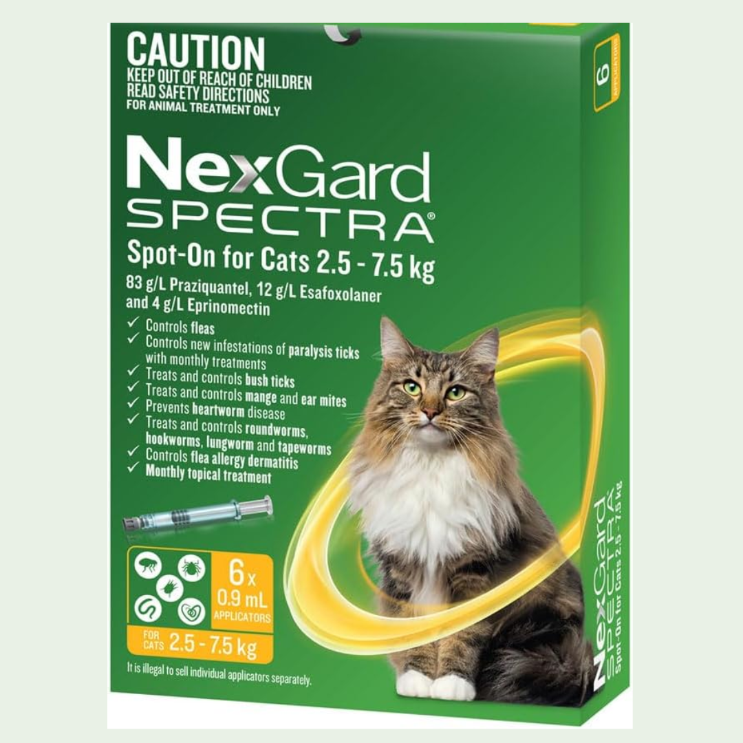 Best Flea Treatment for Cats in Australia 2026