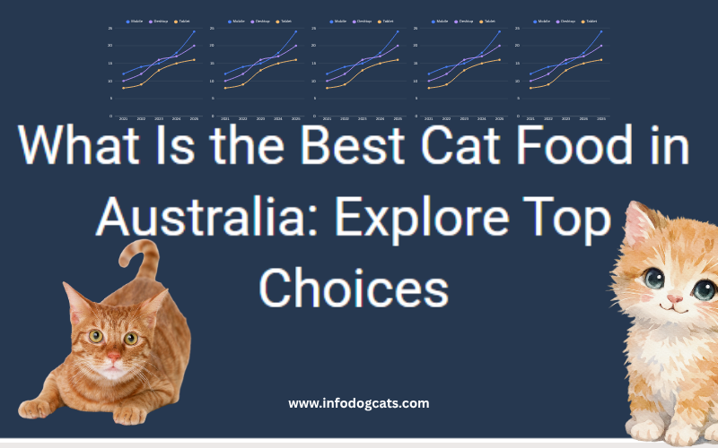 Best cat food brands available in Australia Top 10 Amazing