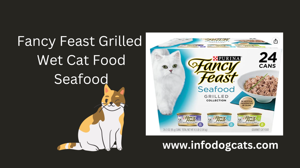 FANCY FOR CATS