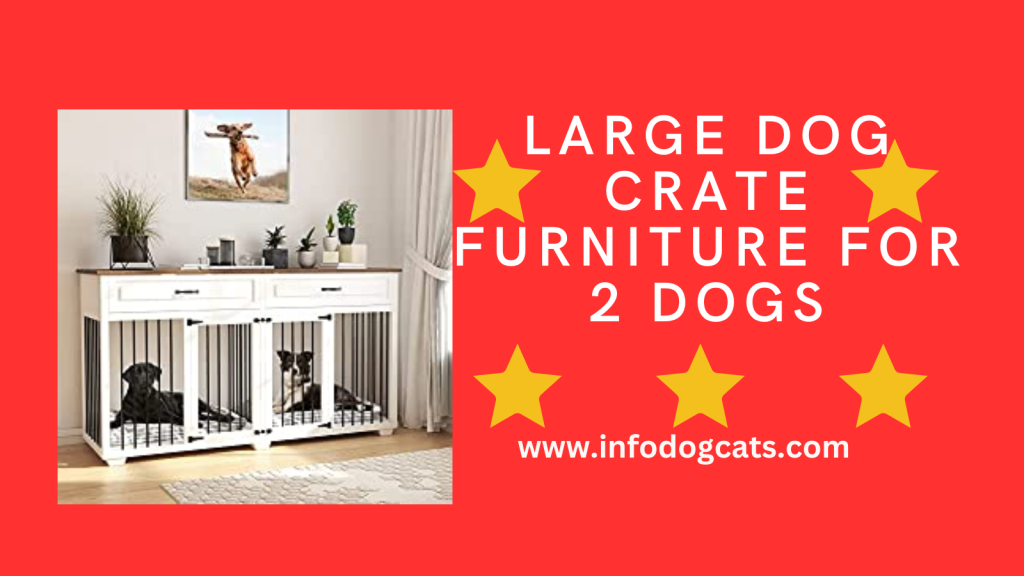 Crate Furniture