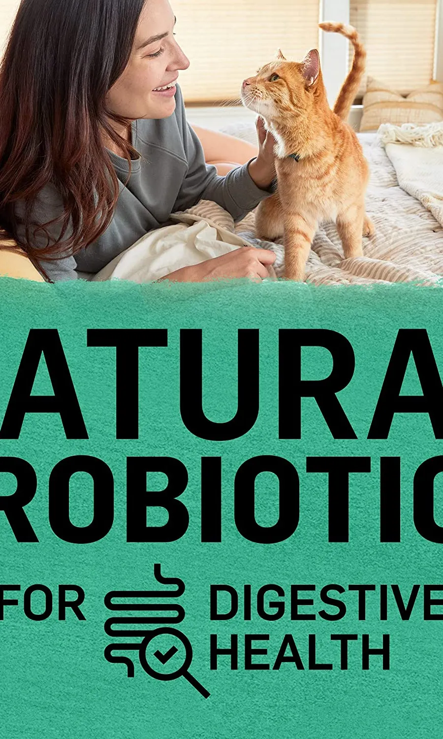 Purina Beyond Grain Free Natural Dry Cat Food Simply Indoor Salmon