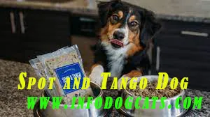 Spot and Tango Dog Food Review