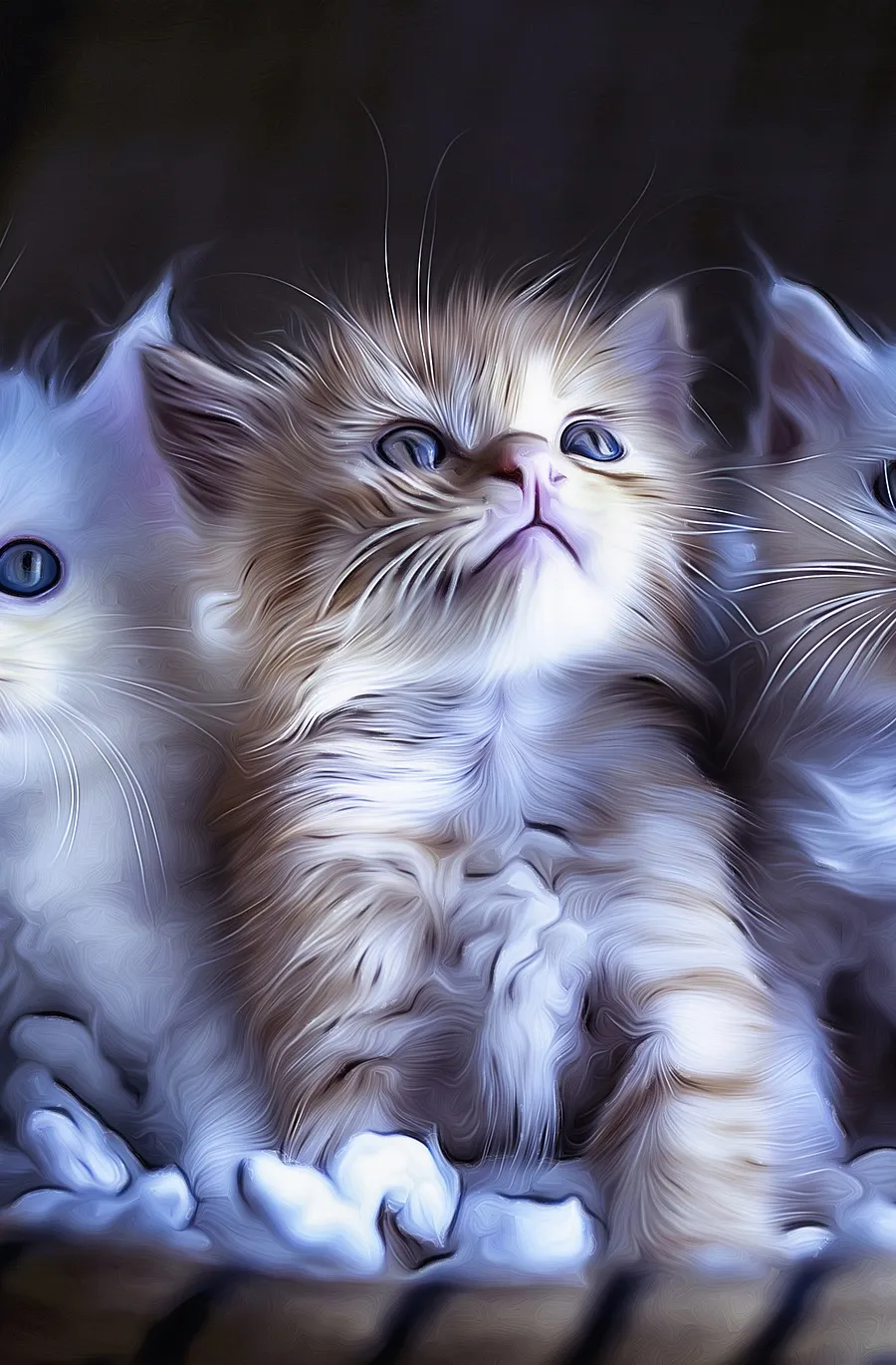 Why Cats Hate Water?