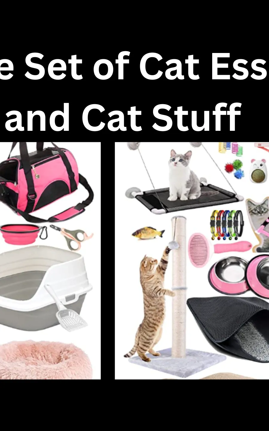 Lobeve Kitten Supplies Starter Kit 30 Piece Set of Cat Essentials and Cat Stuff