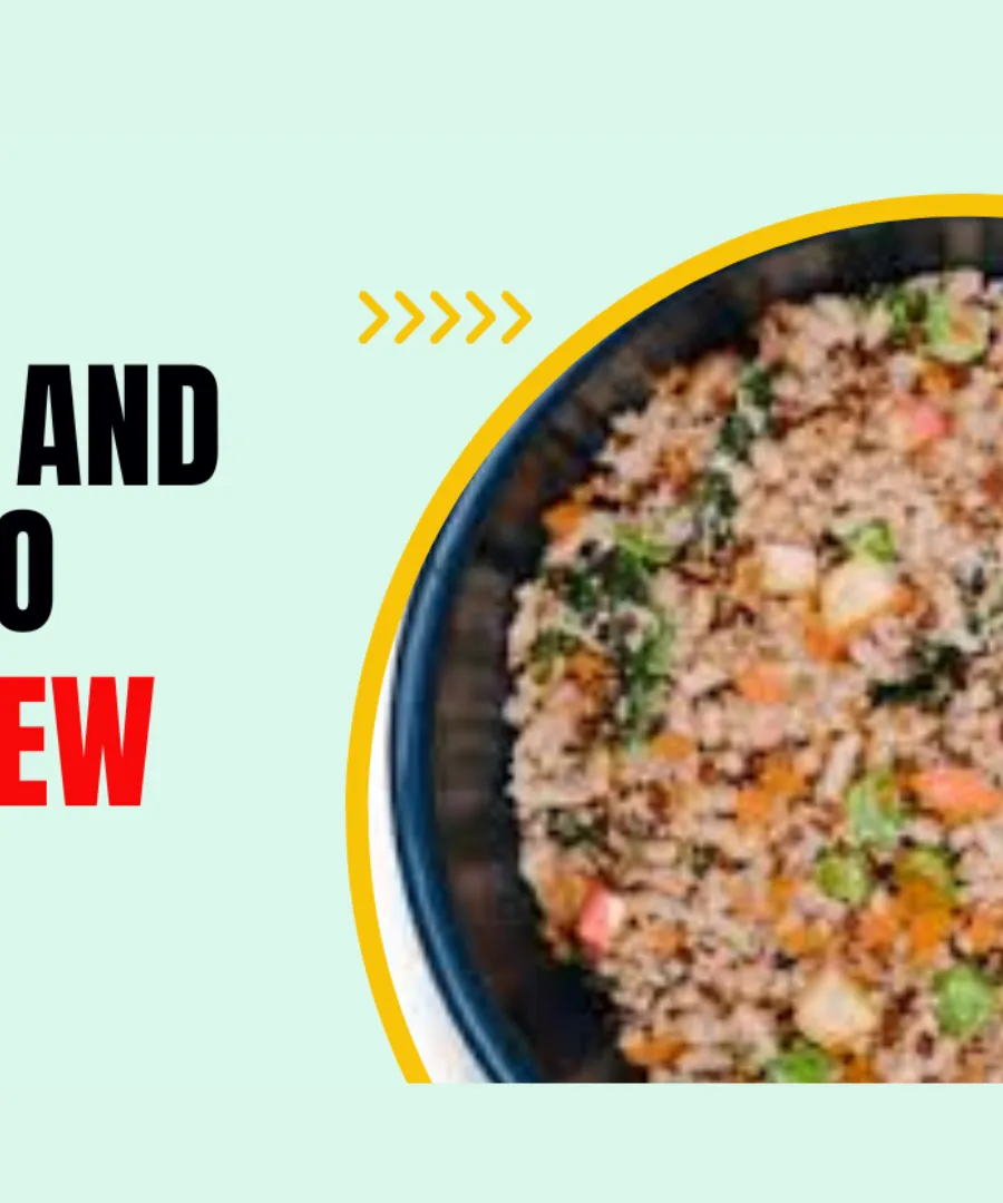 Spot and Tango Dog Food Review 2024