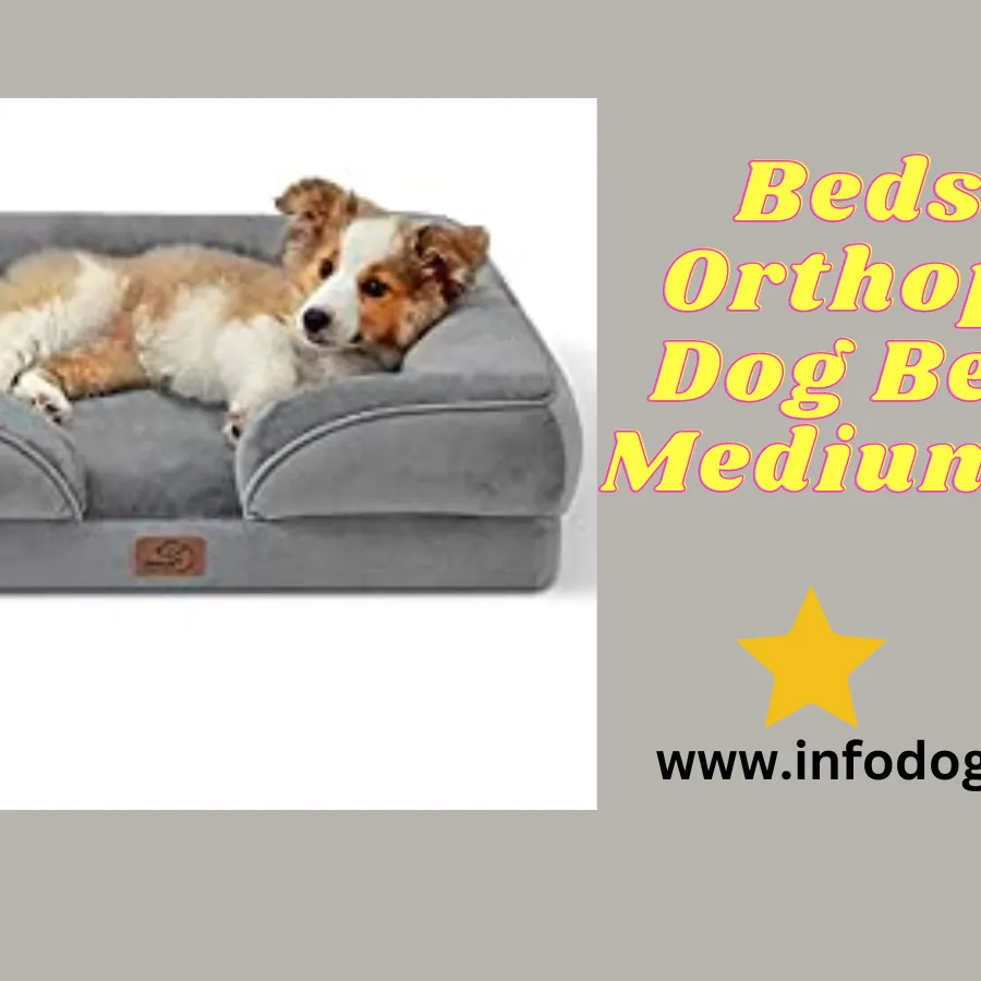 Why Investing in a Good Quality Dog Bed is Important for Your Furry Friend