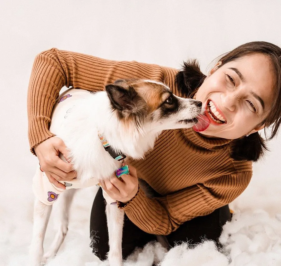 Secrets to Dog Training Stop Your Dog's Behavior Problems!