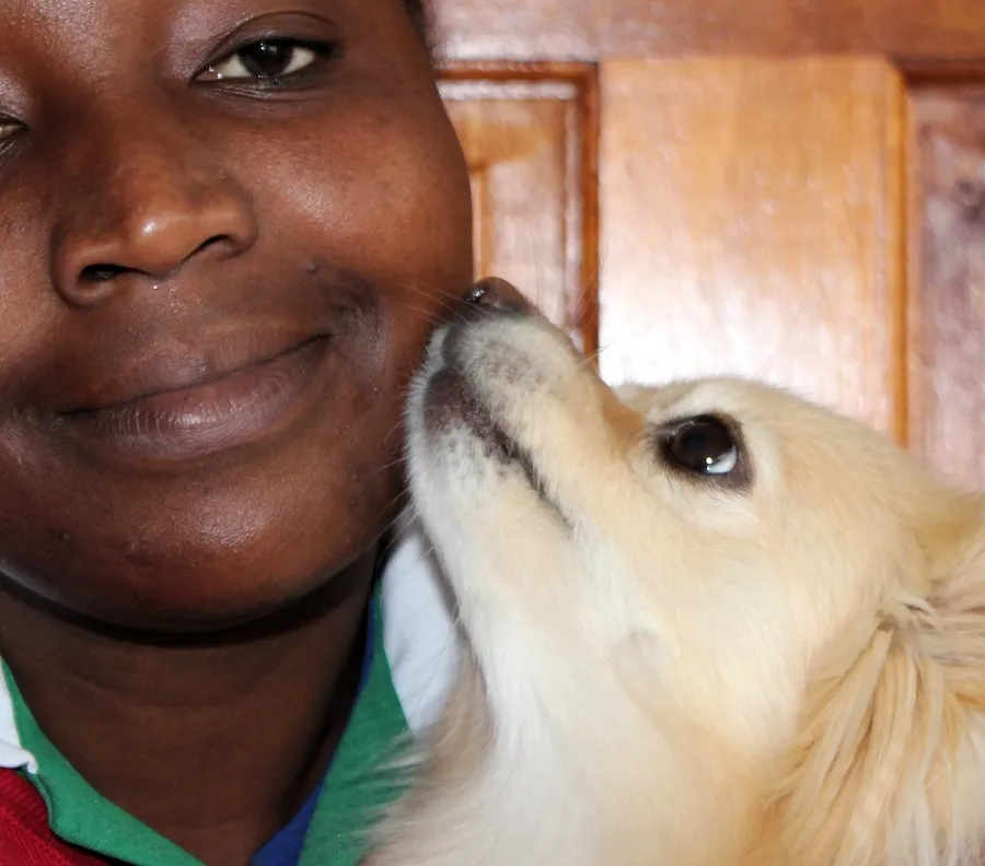 The best dog food 2023, according to experts