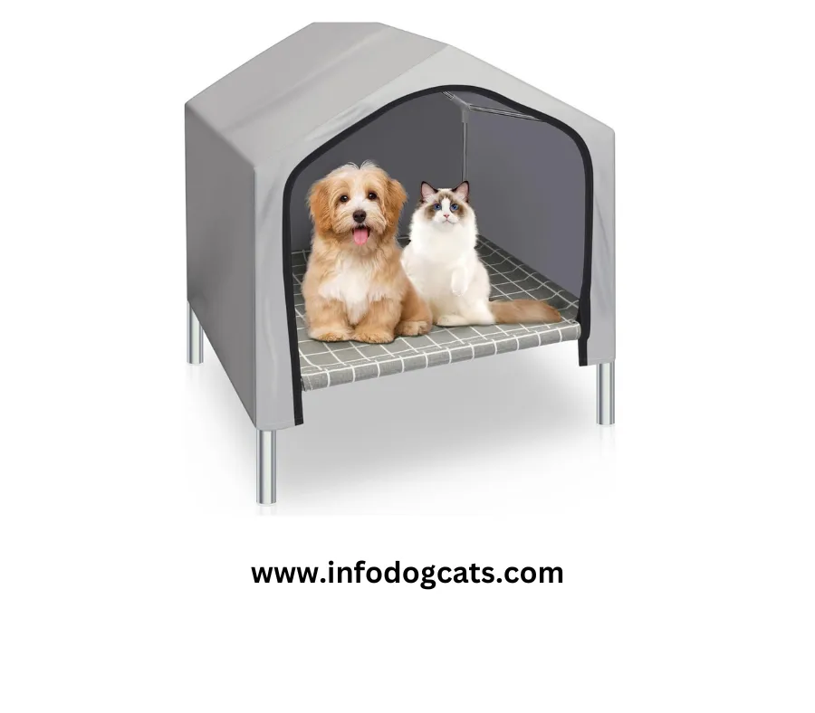 Top 5 Indoor Cat Houses Elevate Your Feline's Comfort and Joy