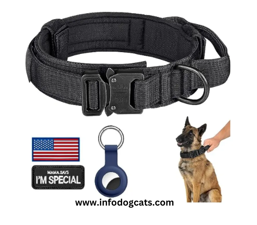 Top 5 DAGANXI Tactical Dog Collar Reviews