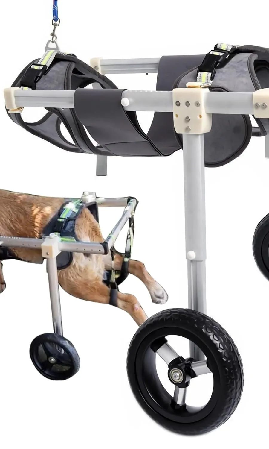Revolutionizing Mobility: Dog Wheelchair for Back Legs – A Game-Changer for Disabled Canine Companions