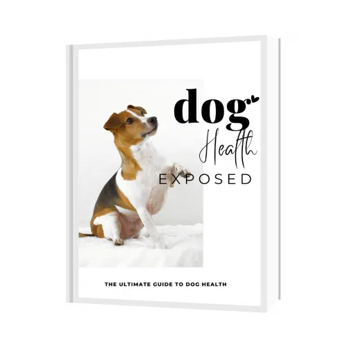 Perfect guide for imperfect dog owners!