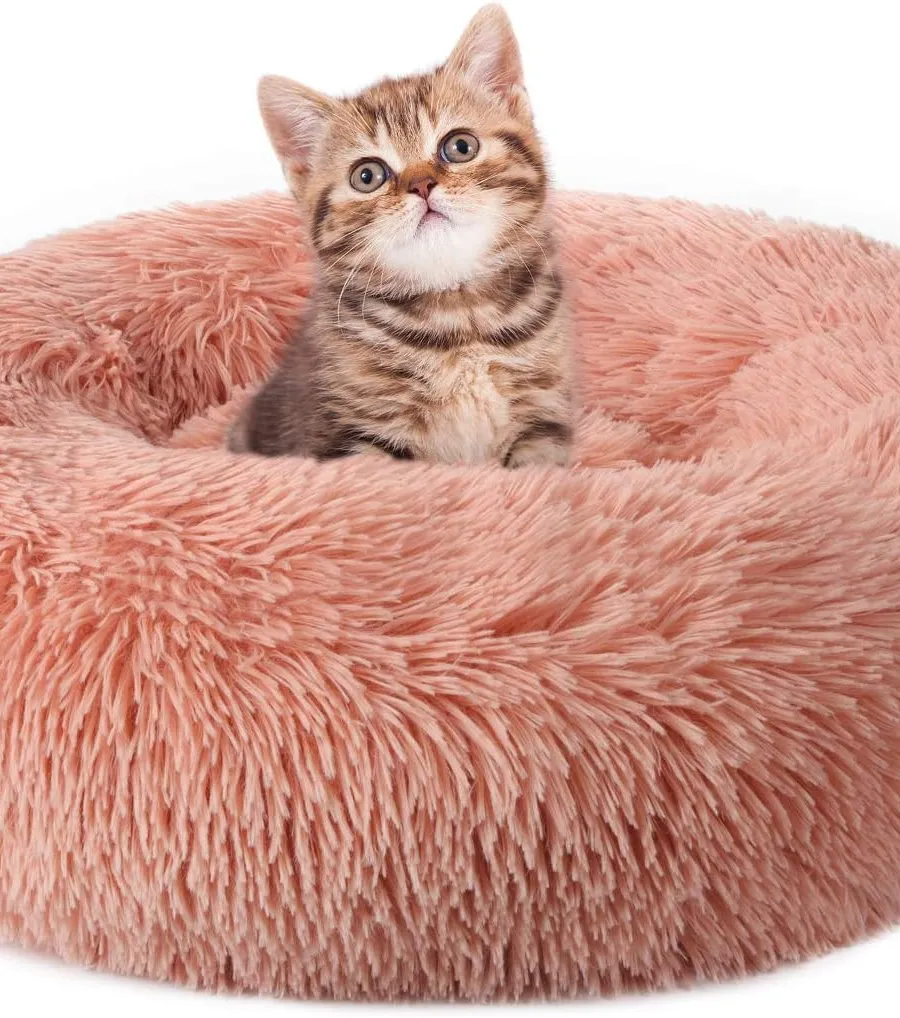 The Ultimate Cat Bed: Comfort and Entertainment in One!