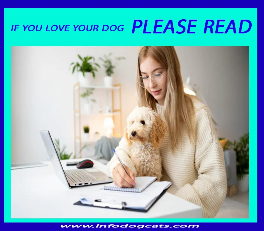IF YOU LOVE YOUR DOG....PLEASE READ...