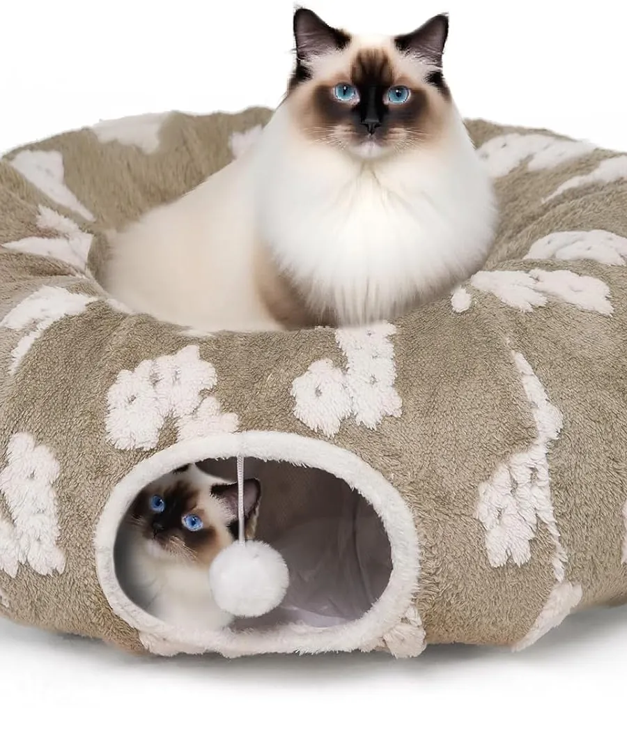 Cats Bonding With Their Owners Everything You Need to Know 2026