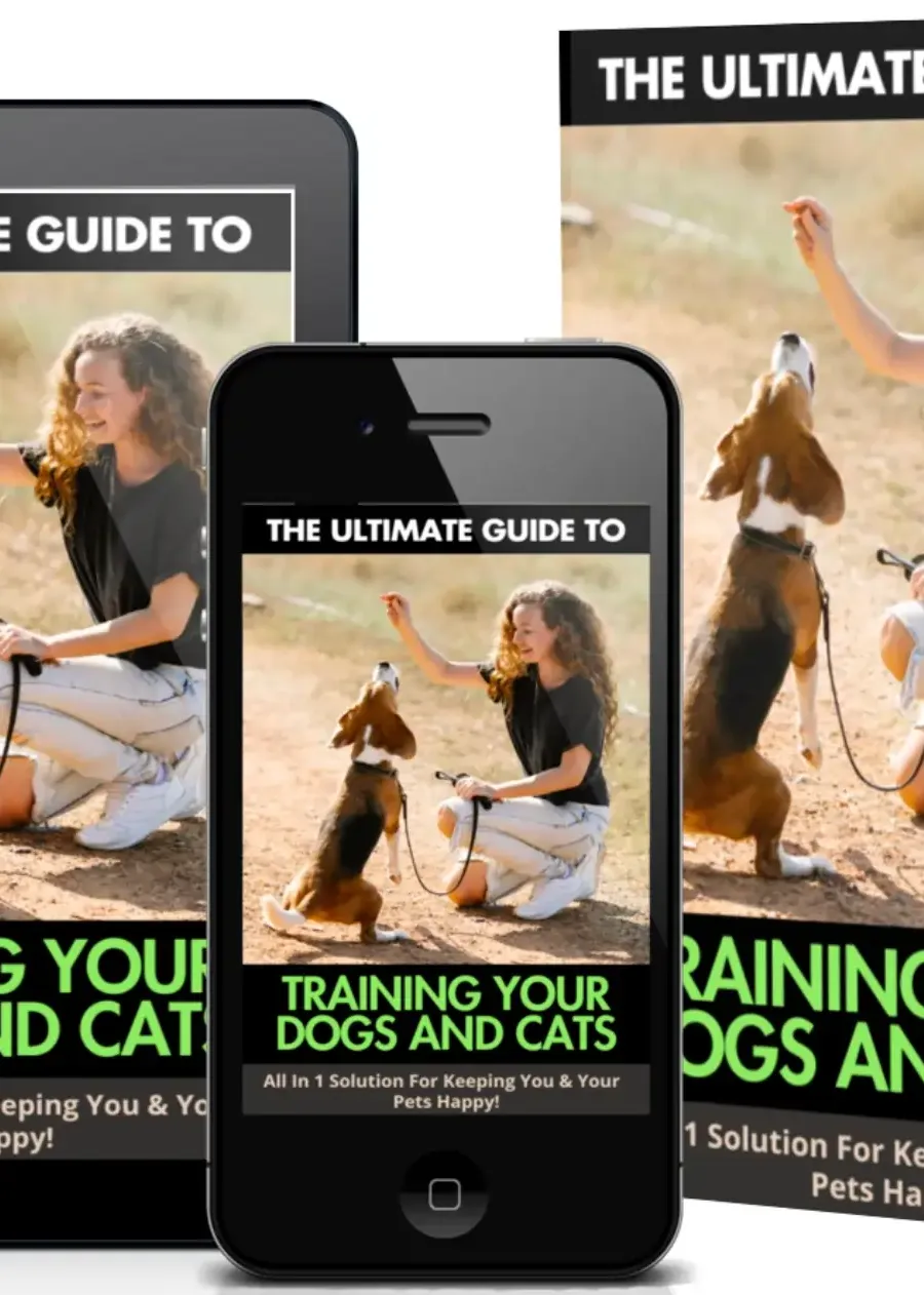 The best GUIDE on how to train your Dogs and Cats 2024