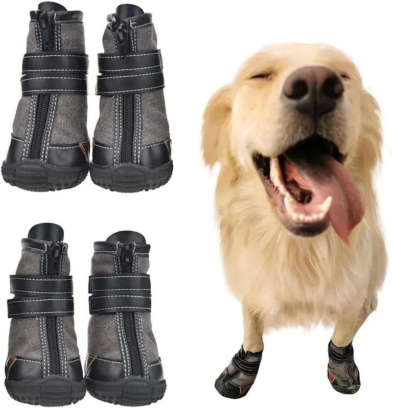 Dog Shoes: The Pawfect Accessory for Your Furry Friend