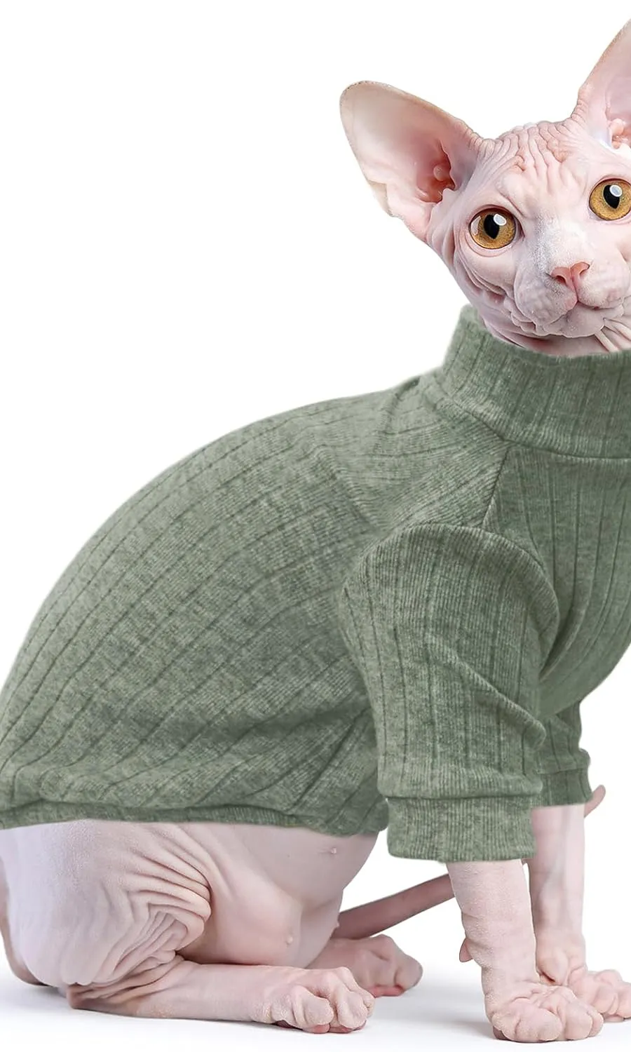 5 Must-Know Facts About Hairless Cat Clothes