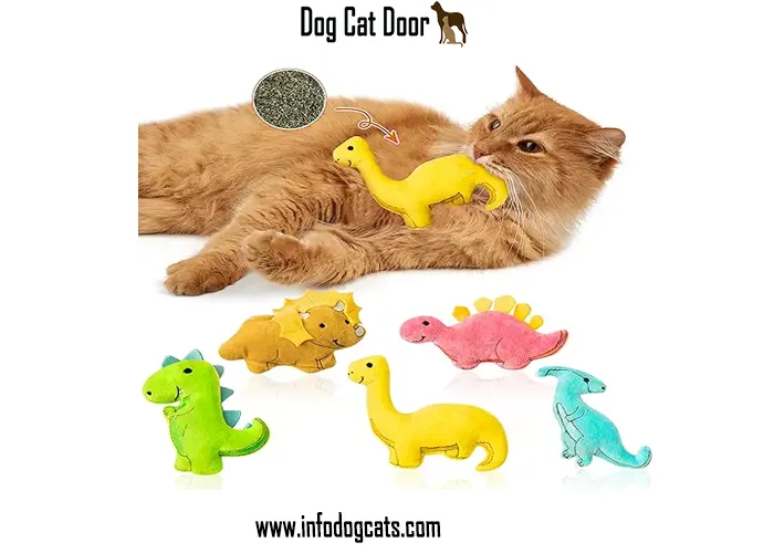 Catnip toys for cats
