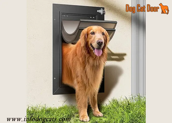 Dog Doors for Walls