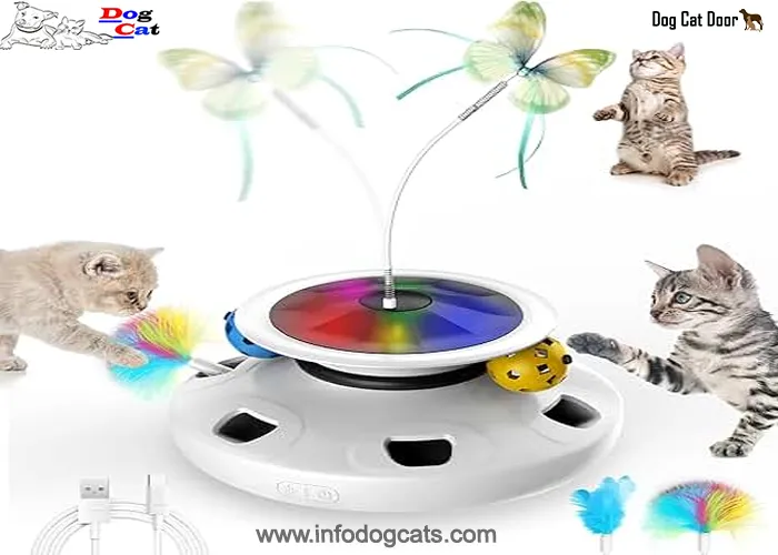 Interactive cat toys