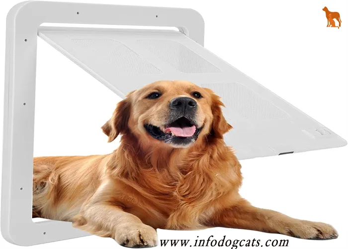 Screen Door with Dog Door 2024