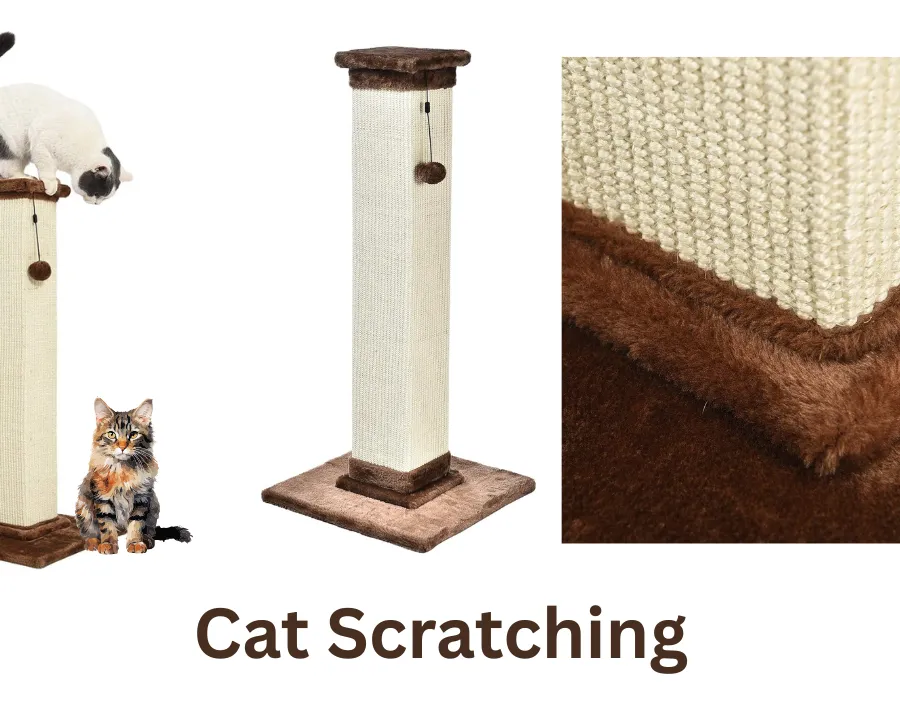 Best Cat Scratching Posts in Australia 2025