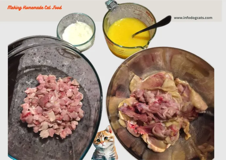 Homemade Cat Food: Save Money and Keep Your Cat Healthy Naturally