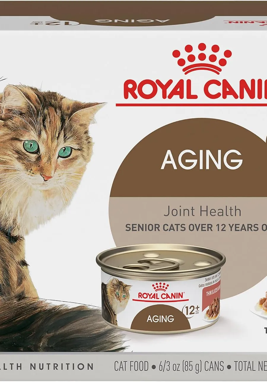 Best Wet Cat Food Australia – Top Picks for Healthy, Happy Cats